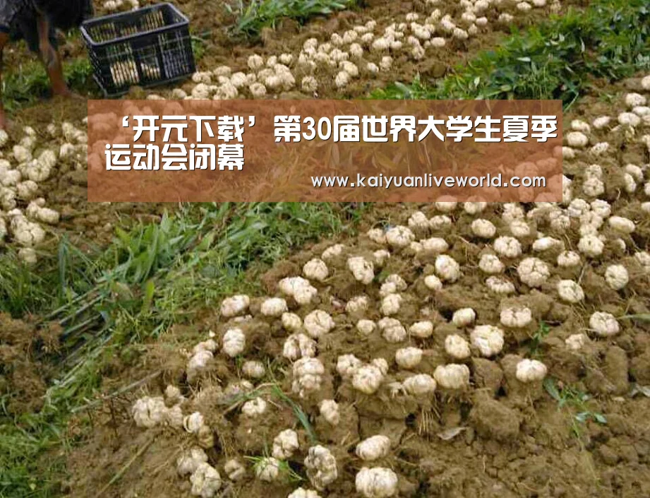 ‘开元下载’第30届世界大学生夏季运动会闭幕(图4) 开元体育