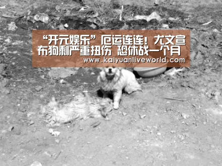 开元体育