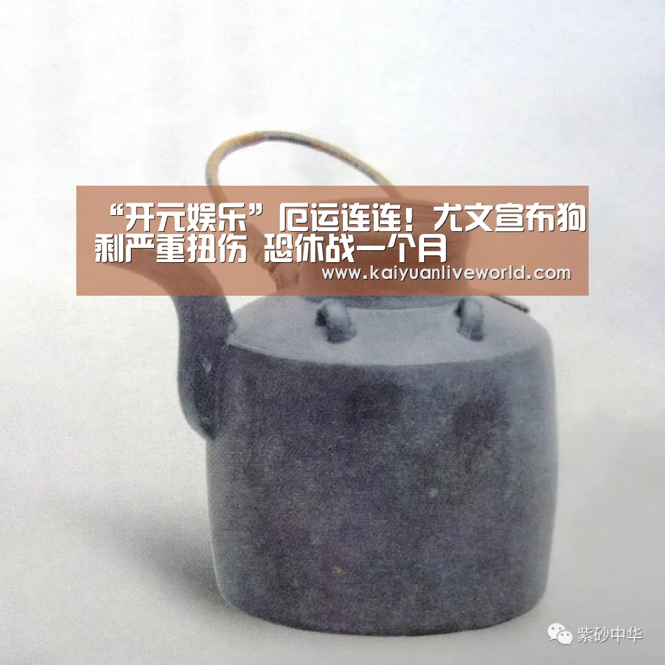 开元竞猜