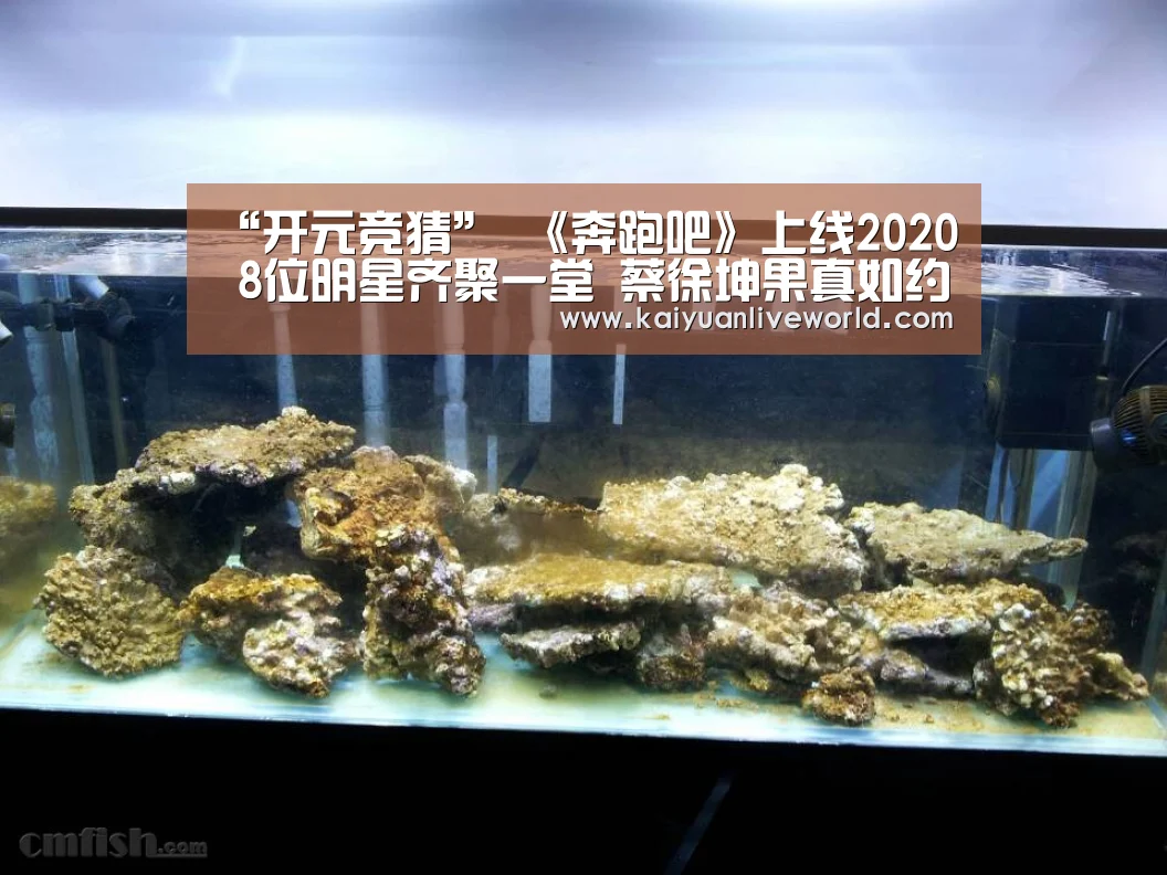 “开元竞猜”
《奔跑吧》上线2020 8位明星齐聚一堂 蔡徐坤果真如约开跑(图1) 开元下载