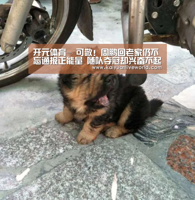 开元娱乐
