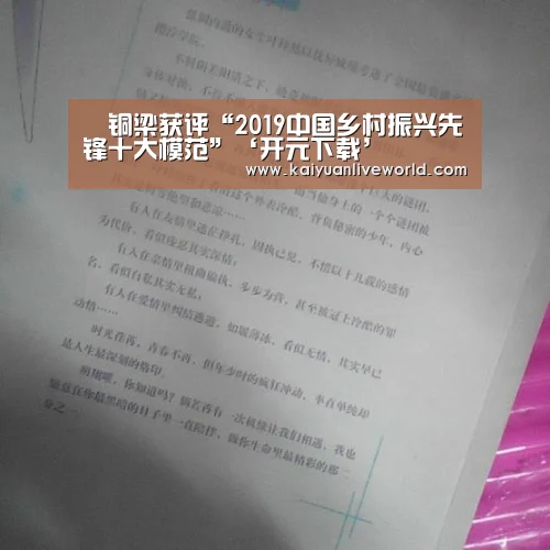 铜梁获评“2019中国乡村振兴先锋十大模范”‘开元下载’(图2) 开元娱乐