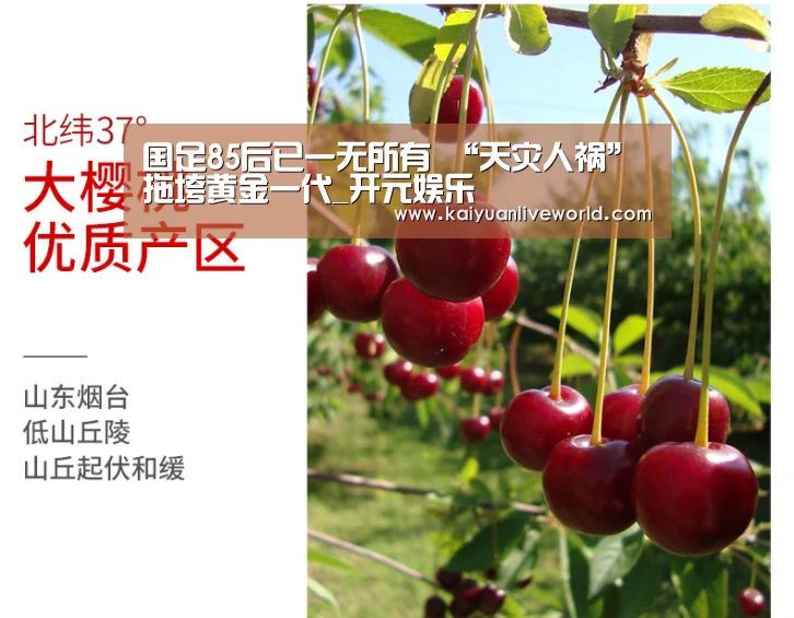 国足85后已一无所有 “天灾人祸”拖垮黄金一代_开元娱乐(图2) 开元下载