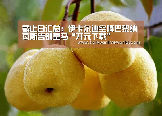 开元娱乐