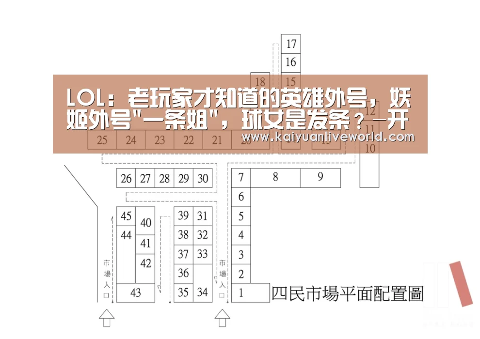 LOL:老玩家才知道的英雄外号,妖姬外号一条姐,球女是发条?-开元竞猜(图2) 开元竞猜