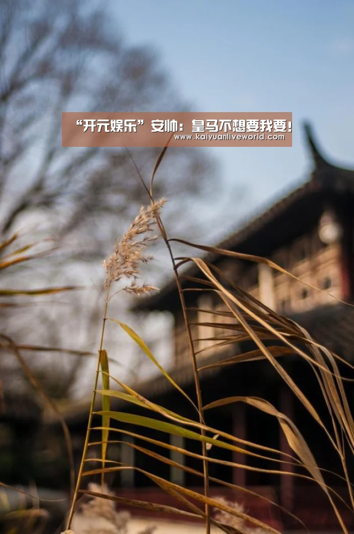 “开元娱乐”安帅:皇马不想要我要!(图2) 开元竞猜