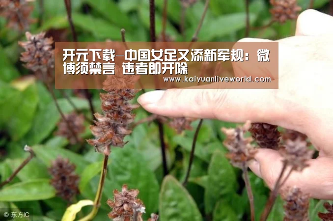 开元下载-中国女足又添新军规:微博须禁言 违者即开除(图1) 开元娱乐